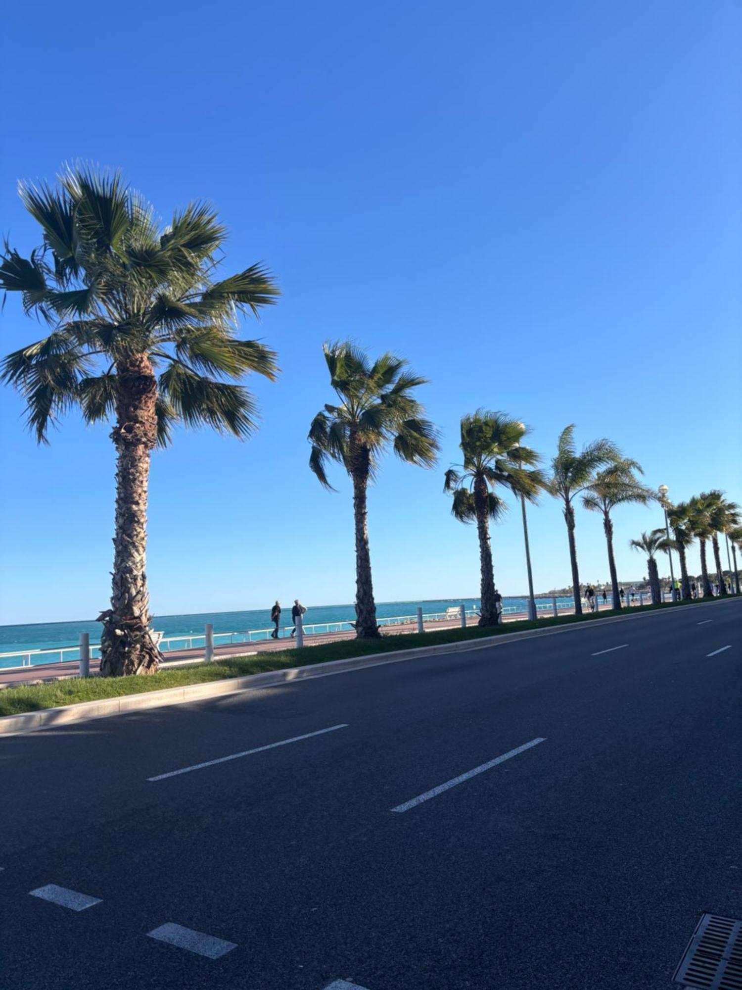 Grand Studio De 30 M2 Promenade Des Anglais Nice Buitenkant foto